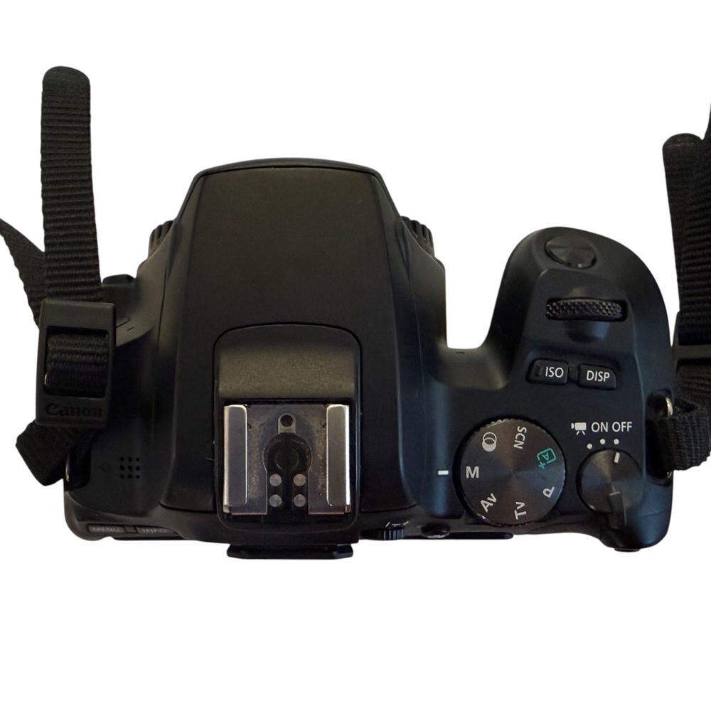 Canon SL3 Camera + Lens Bundle + Rode VideoMic - Picture 3 of 8